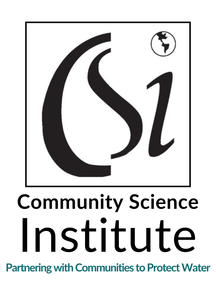 CSI logo